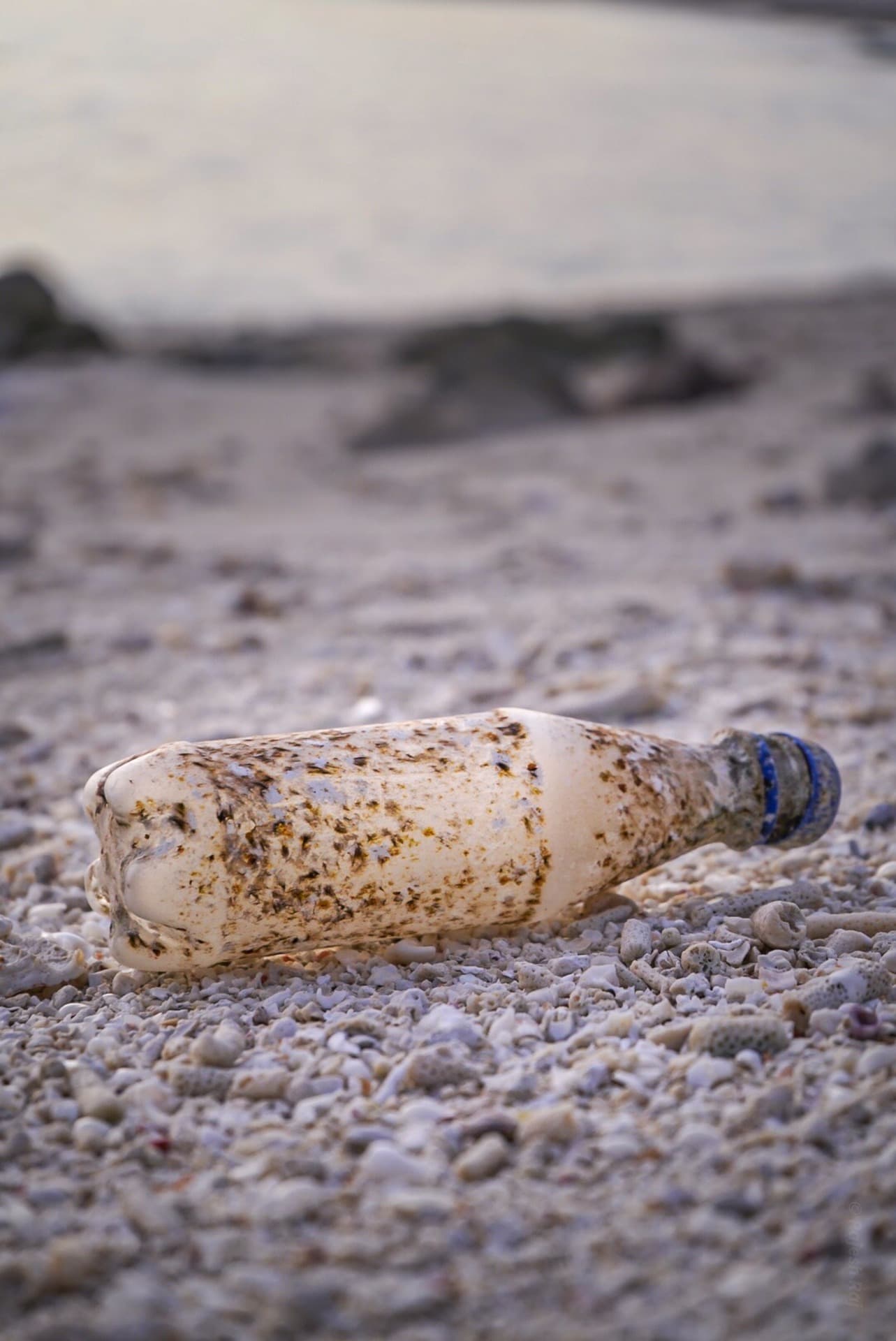 projects SHREE SHYAM ASSOCIATES