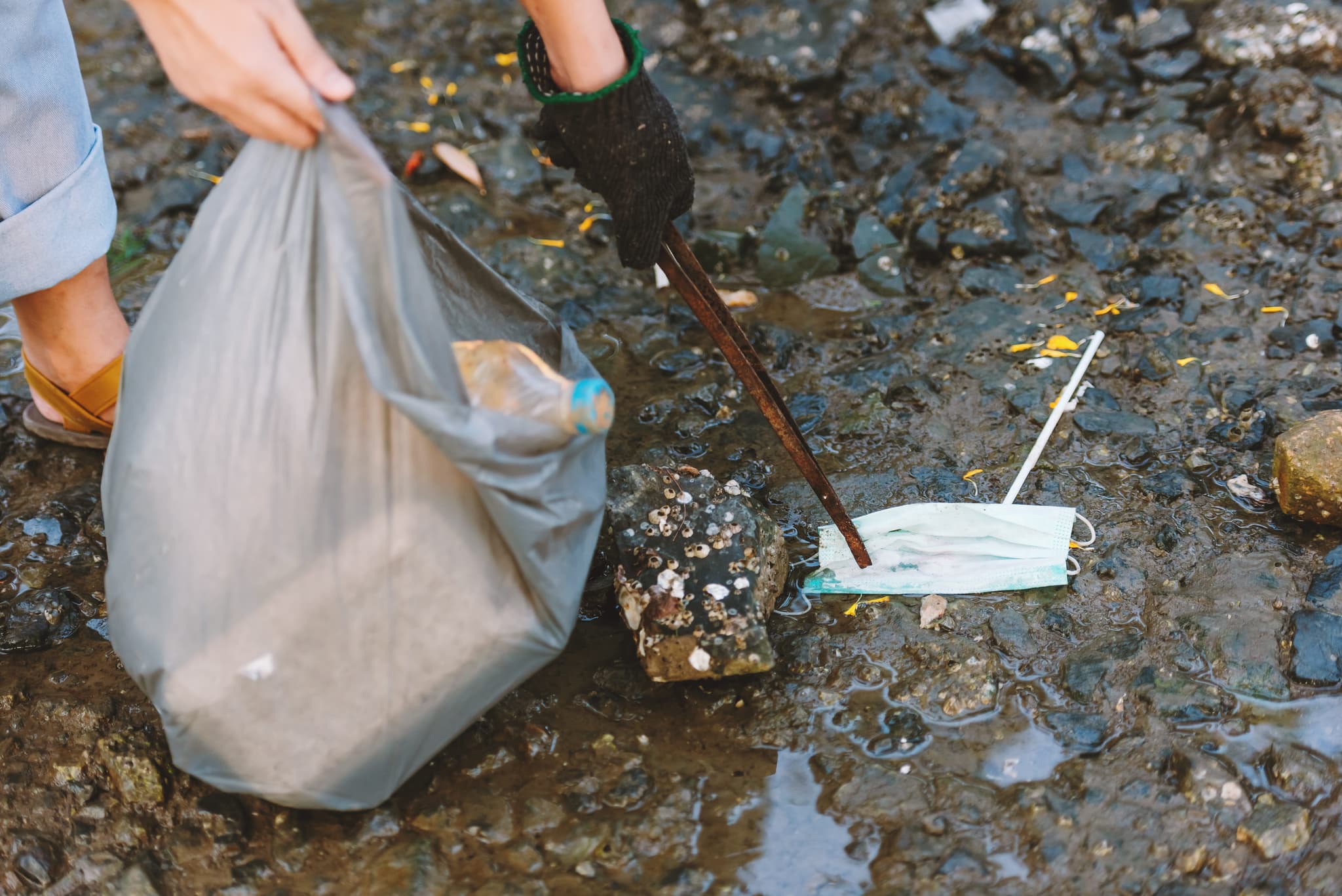 environmental protection